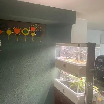 Aila apartment