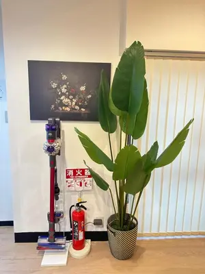 a potted plant sitting on top of a table at KYOSAI-Asakusa Q in Tokyo