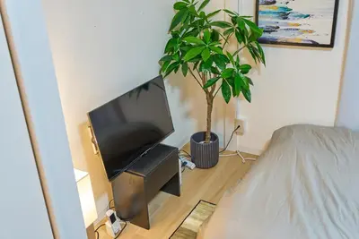 a bedroom with a tv and a potted plant at 11 Under the Moon Shin-Okubo Station 3 minute walk in Tokyo
