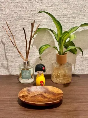 a wooden figurine next to a potted plant and a container at Cozy 1BR Apt in Asakusa-8 min walk Naka Okachimachi station in Tokyo