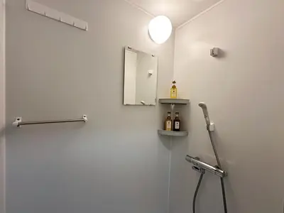 a bathroom with a mirror and a shower at The Travelers Court Bunkyo II in Tokyo