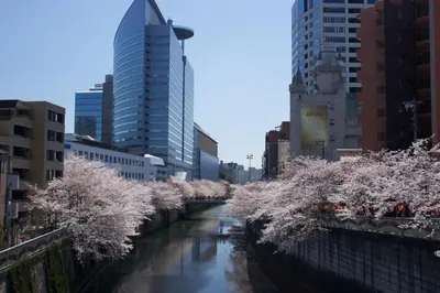 a river in the middle of a city with buildings at Meguro Emperor (Adult Only) in Tokyo