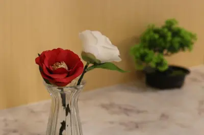 a vase with two roses in it on a table at Shibuya Shinjuku area Designer apartment in Tokyo