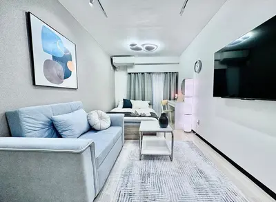 a living room with a couch and a tv at Kabukicho Designer's Apt VIII in Tokyo