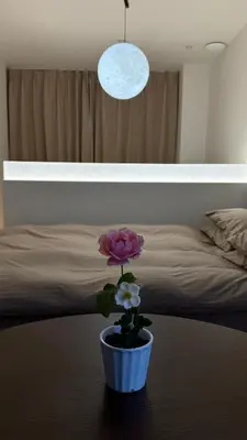 a flower in a pot on a table next to a bed at Moon Base Tokyo Inn in Tokyo
