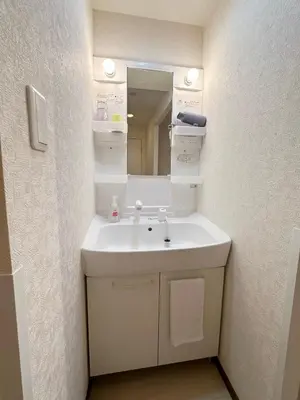 a bathroom with a white sink and a mirror at The Travelers Court Bunkyo III in Tokyo