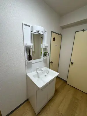 a bathroom with a white sink and a mirror at \u5c71\u624b\u7dda\u5927\u585a in Tokyo