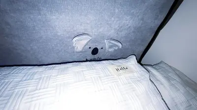 a headboard of a bed with a mouse head on it at Tokyo Hoshino House 1Floor in Tokyo
