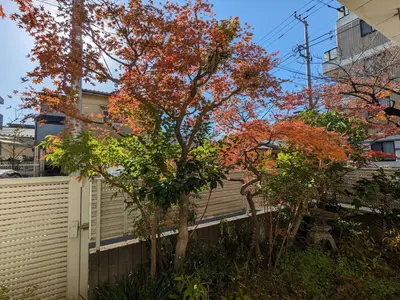 a fence with trees in front of a building at Japanese life with garden, 2BR, feel & enjoy seasons in Tokyo