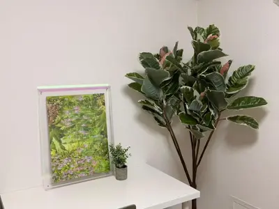 a mirror sitting on a table next to a plant at \u5e83\u6587\u6771\u6c60\u888b302 in Tokyo