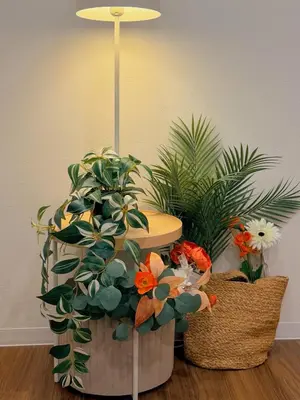 two potted plants sitting on the floor next to a lamp at C&H hotel3F in Tokyo