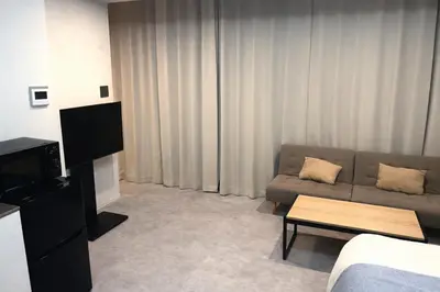 a living room with a couch and a tv at 201 Maison de Bohème Ryogoku in Tokyo