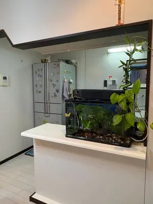 a fish tank on a counter in a kitchen at sakura\u306e\u5bb6 in Tokyo
