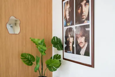 a picture hanging on a wall next to a plant at Shibuya Beatles house 10min walk from Shibuya Station in Tokyo