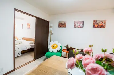 a living room with a mirror and a bedroom at 203 Room, a 6-minute walk from Tokyo Koiwa Station Direct connected to Shinjuku and Akihabara Stations Comfortable one-bedroom apartment with separate wet and dry areas in Tokyo