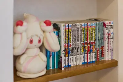 a shelf with books and a toy pig on it at Hotel \u30d5\u30eb\u30fc\u30eb301 in Tokyo