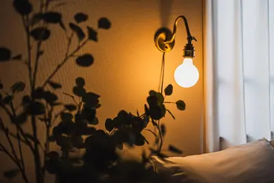 a lamp sitting next to a plant next to a window at Omotenashi HOTEL FamilyStay in Tokyo