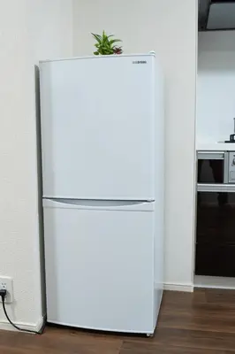 a white refrigerator in a kitchen with a plant on top at Sunbright Asakusa 101 in Tokyo
