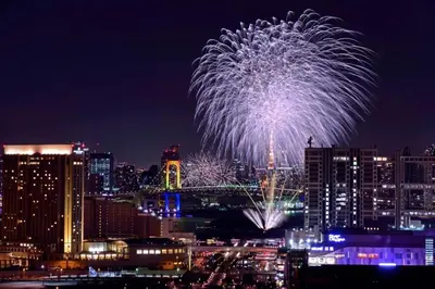a fireworks display over a city at night at FelizLife \u5357\u99ac\u8fbc 201 in Tokyo