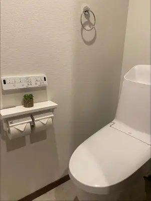 a bathroom with a white toilet and a white sink at Nexus Vill Morishita in Tokyo