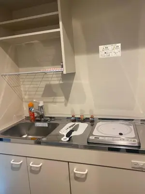 a kitchen with a sink and a stove at \u4e1c\u4eac\u90fd\u5185\u5bbe\u9986Nexus villa in Tokyo