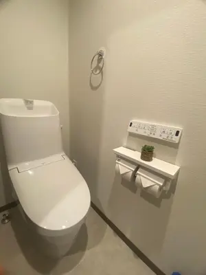 a bathroom with a white toilet in a room at \u4e1c\u4eac\u90fd\u5185\u5bbe\u9986Nexus villa in Tokyo