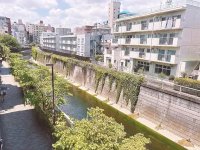 a river in the middle of a city with buildings at 308, Shinjuku City, JR Yamanote Line, 6 min walk to Takadanobaba stn in Tokyo