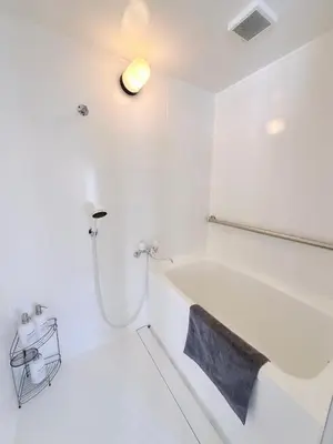 a white bathroom with a tub and a shower at Hotel Lien Tokyo2 in Tokyo