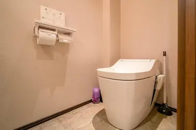 a bathroom with a white toilet in a room at \u6771\u4eac\u4e0a\u91ce\u6b65\u884c3\u5206\u72ec\u680b\u522b\u5885 in Tokyo