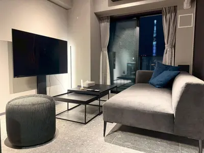 a living room with a couch and a tv at ROLES Ryusen 901 in Tokyo