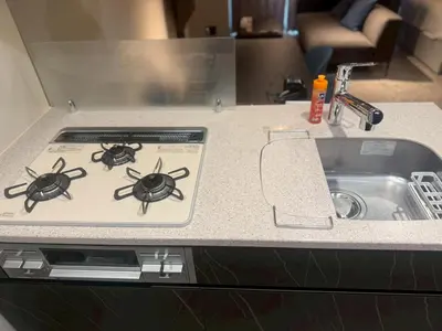 two bugs sitting on top of a stove next to a sink at ROLES Ryusen 901 in Tokyo
