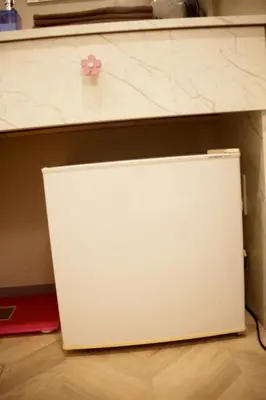 a white refrigerator with a pink flower on a shelf at \u53f0\u6771\u533a\u30a2\u30d1\u30fc\u30c8\u30e1\u30f3\u30c8 in Tokyo