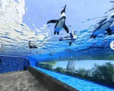 a group of penguins swimming in the water at Jeminith Ikebukuro Tokyo in Tokyo