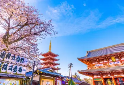 a temple with a tree in front of a building at -Imado- Within walking distance of Asakusa Station and Tokyo Skytree! in Tokyo