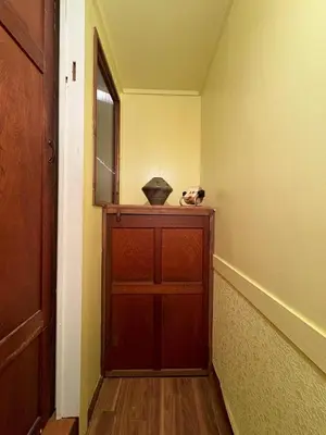 a dog sitting on top of a wooden cabinet in a hallway at Runbull House in Tokyo