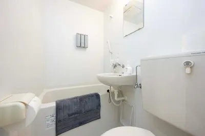 a white bathroom with a sink and a toilet at All Good Stay KAMEARI in Tokyo