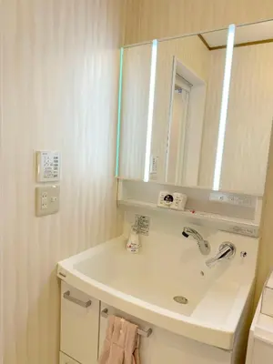 a bathroom with a sink and a mirror at Hotel Hanamichi in Tokyo