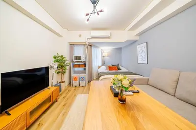 a living room with a couch and a tv at Lions Mansion SHIBUYA 219 in Tokyo