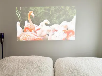 a painting of pink flamingos on a wall at SIMMONS Brand beds,3 mins walk to station,,Ueno area,Direct to Akihabara 8 mins,Ginza 24 mins in Tokyo