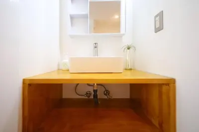 a bathroom counter with a sink and a mirror at \u6c60\u888b\u99c5\u5f92\u6b697\u5206 \u5c71\u624b\u7dda\u4ea4\u901a\u4fbf\u5229 \u8a2d\u5099\u5b8c\u5099 in Tokyo
