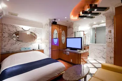 a bedroom with a bed and a television in it at HOTEL & SPA J-MEX Shinjuku Kabukicho (Adult Only) in Tokyo