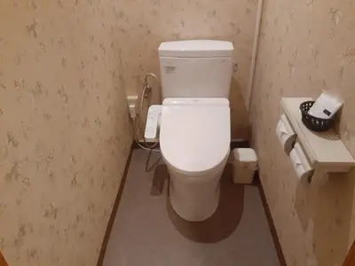 a bathroom with a white toilet and a sink at Hotel Moana Otsuka (Adult Only) in Tokyo