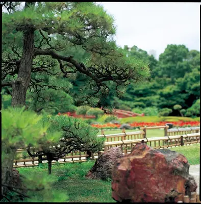 a garden with a tree and a fence with flowers at Hotel New Otani Tokyo The Main in Tokyo