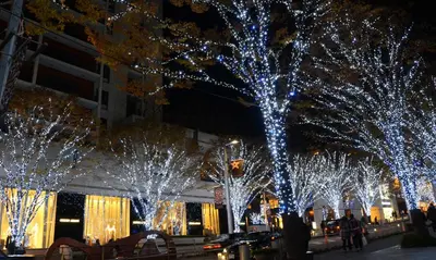 a group of trees decorated with lights in front of a building at the b akasaka-mitsuke in Tokyo