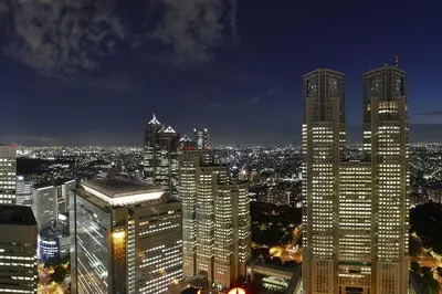 a night view of a large city with tall buildings at Keio Plaza Hotel Tokyo in Tokyo