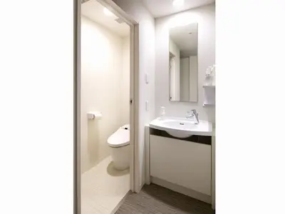 a bathroom with a toilet and a sink and a mirror at Hotel Crown Hills Ueno Premier in Tokyo