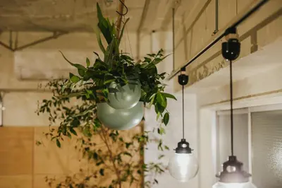 a plant in a pot hanging from a wall at DENCHI TOKYO - Private Designer Stay in Asakusa in Tokyo