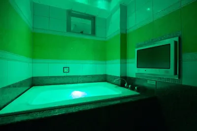 a green bathroom with a tub with a tv at HOTEL AN Shinjuku Kabukicho (Adult Only) in Tokyo