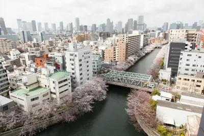 a bridge over a river in a city with buildings at Day Nice Hotel Tokyo in Tokyo