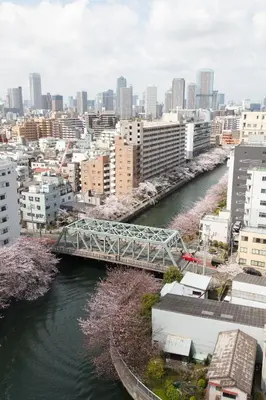 a bridge over a river in a city with buildings at Day Nice Hotel Tokyo in Tokyo